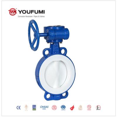 WCB CF8M PTFE Seat Butterfly Valve JIS10K Standard Manual Operated