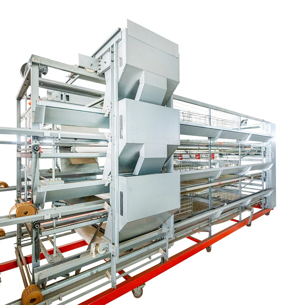 Galvanized Steel Automatic Poultry Farm Equipment Chicken Battery Cage H Type