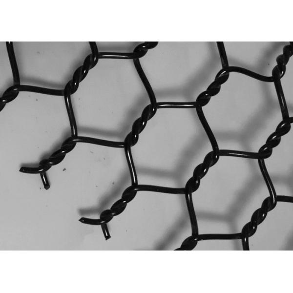 PET Durable Hexagonal Wire Kikko Net 80x100mm