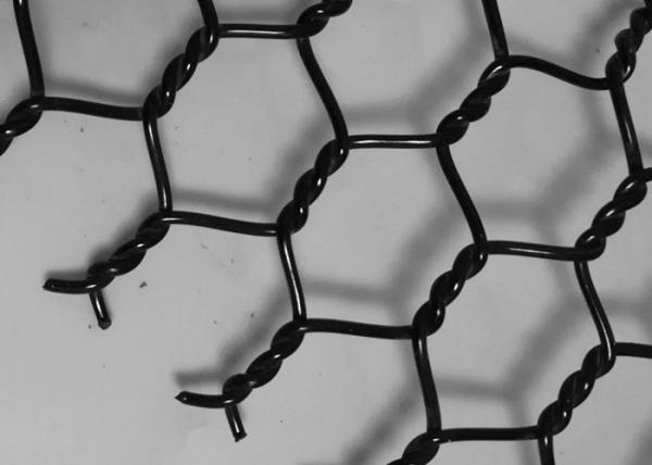 PET Durable Hexagonal Wire Kikko Net 80x100mm