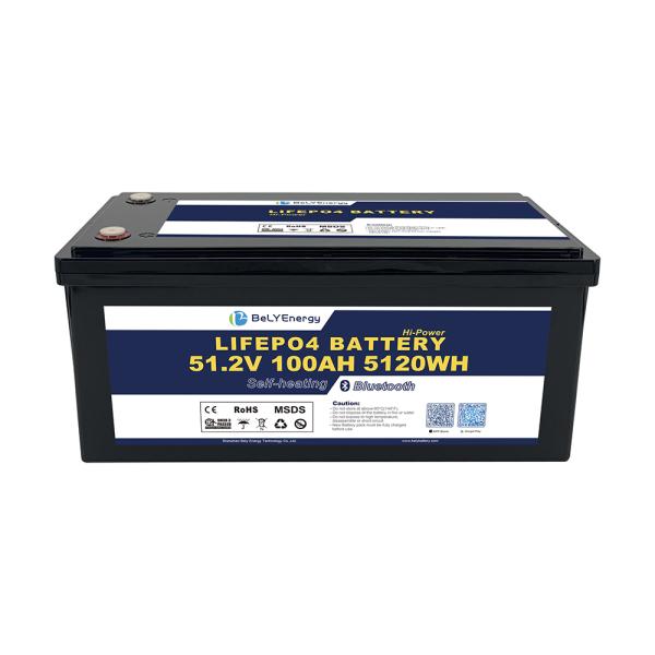 48V LiFePO4 Battery Pack - 5120Wh, 100A Discharge, IP65 Enclosure