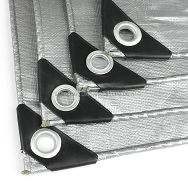 Cubierta de cubierta de lonas de lonas cubierta de cubierta de cubierta de cubierta de cubiertas de cubiertas de cubiertas de cubiertas de cubiertas de cubiertas de cubiertas de cubiertas de cubiertas de cubiertas de cubiertas de cubiertas de cubiertas de cubiertas de cubiertas de cubiertas de cubiertas de cubiertas de cubiertas de cubiertas de cubiertas de cubiertas de cubiertas de cubiertas de cubiertas de cubiertas de cubiertas de cubiertas de cubiertas de cubiertas de cubiertas de cubiertas 