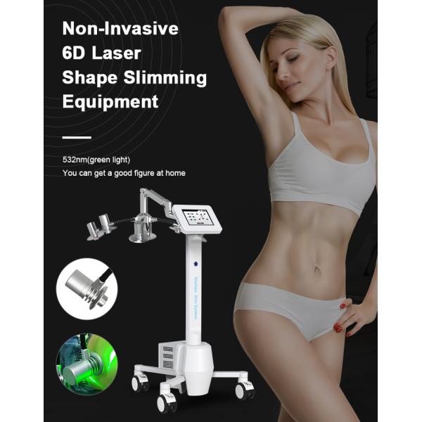 Fat Removal Non Invasive 8D Laser Therapy Machine Dual Wavelength 532nm 635nm Red And Green Light