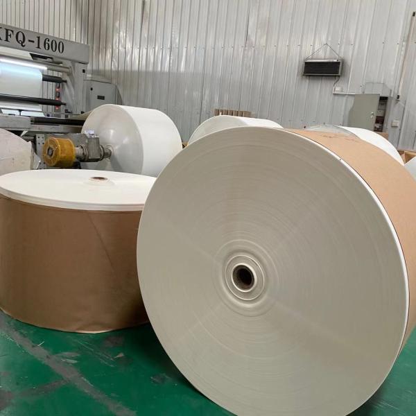 1 copo de papel lateral Matt Film Laminated material do revestimento 270gsm do PE