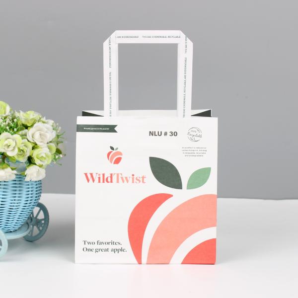 Mini bolso de papel Kraft blanco para llevar con logotipo para impresión personalizada