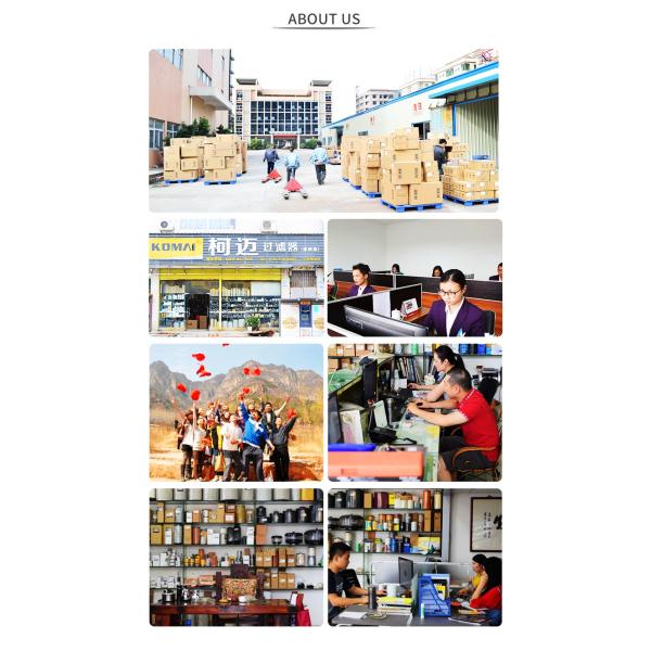 Auto Motor Car Parts Diesel Engine For Lubriing Oil Height 176.28mm Oil Filters