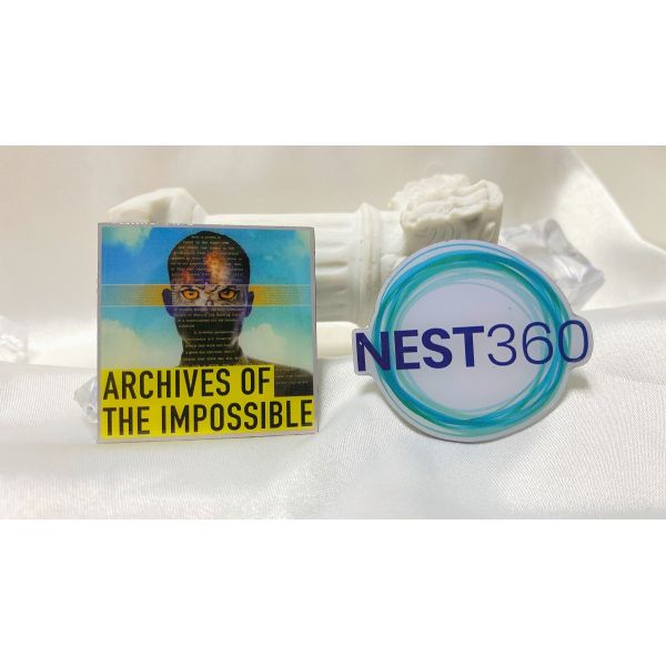 Custom Lapel Pin and Metal Badge with 2D/3D Design Epoxy Coating and Zinc Alloy Material