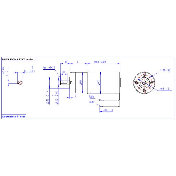63mm 60JXE300K.63ZYT Seires High Torque DC Planetary Geared Motor 12vdc 24vdc 36vdc 48vdc With Planet Reducer Up To 30Nm