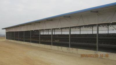 Low price and simple flat pack container house for living and warehouse