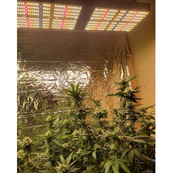 Полное СИД солнечного света 240W спектра растет светлым для крытых заводов