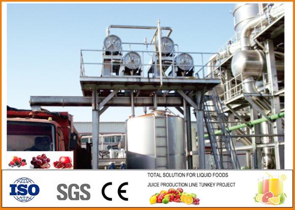 10T/H Beverage Processing Plant , Complete Automatic Blueberry Processing Line