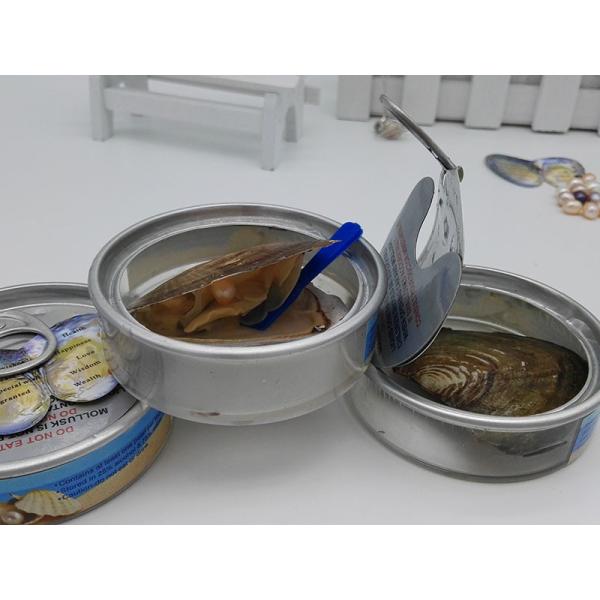 Wholesale Canned Genuine Oyster Shell Pearl In Can