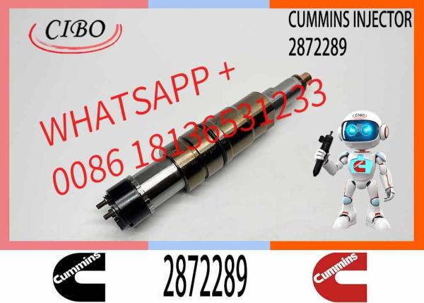 Fuel Injector Diesel Engine Injector Common Rail Injector Repair Kit 2488244 2872544 2872289 2872284 4955080