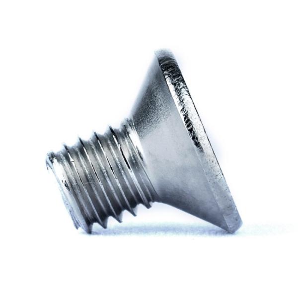 DIN7991 Hex Socket Countersunk Head Screw SS316 304 Alloy Steel Fasteners