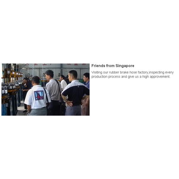 ISO9001Certificated DOT FMVSS106 approved 1/8 size racing car and racing motorcycle stainless steel braided hose