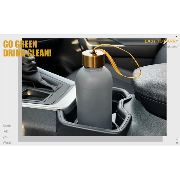 Clear Glass Water Bottles, Reusable Glass Juicing Bottles Protection Sleeve and Stainless Steel Leak Proof Lids
