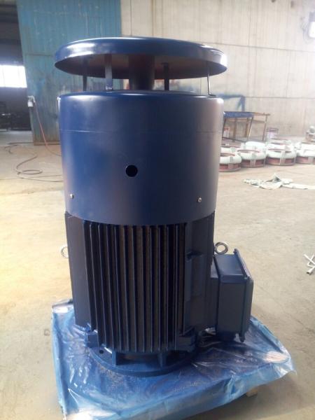 NEMA Vertical Hollow Shaft Motor IP54 380V 660V 3 Phase 50HZ 1450rpm 75kw VHS Motor