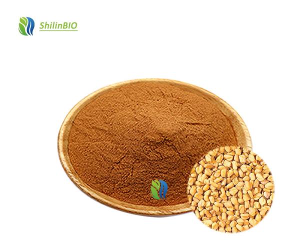 Fenugreek Seed Extract Powder 10%,30%,50% Fenugreek saponin