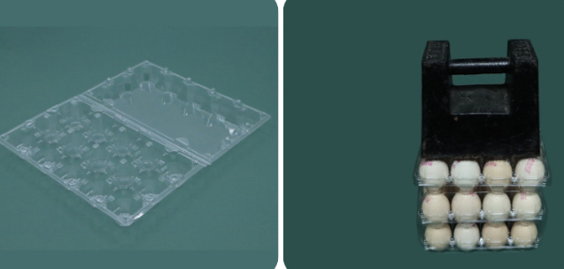 Thickened PET 12 Egg Transparent Display Egg Packaging Tray Thermoformed Container