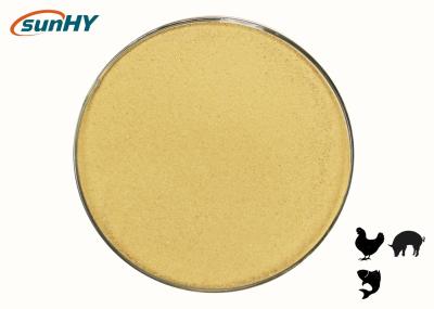 Categoria ISO9001 Probiotics da alimentação para a dosagem animal 2kg/MT