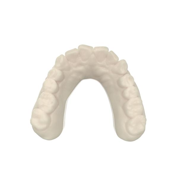 Safety Durable Opposite Jaw Model Resin