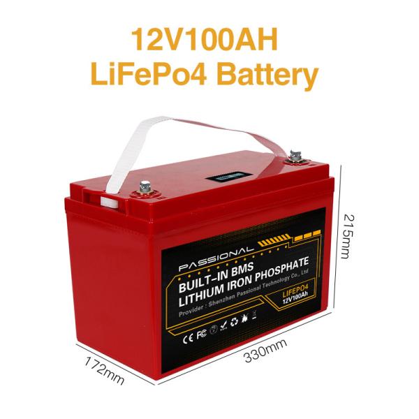 ESS Outdoor 12V LiFePO4 Battery 100ah Lithium Rechargeable For RV