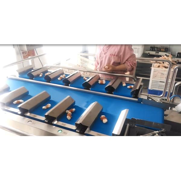 Weigher Multihead рыб главного пояса 40WPM 12 замороженный
