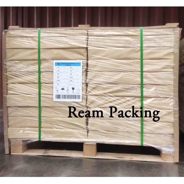 Hoja absorbente del papel de la cartulina de la alta del práctico de costa agua abultada 225gsm del material 0.5m m