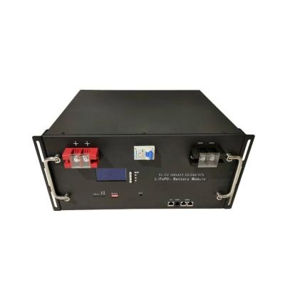 Modular Home Energy Storage System 16S 51.2v100ah Lifepo4 Rack Mounted Batteries