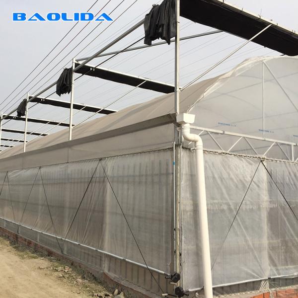 Estufa comercial do período do jardim multi para o desempenho estável vegetal