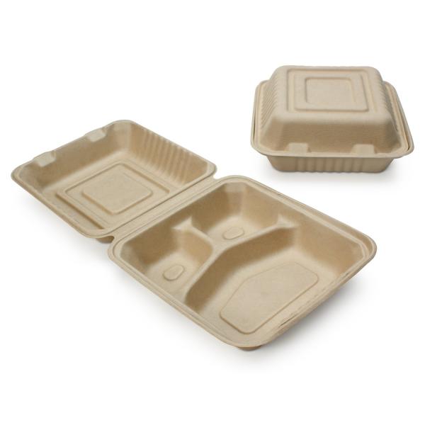 Oil Proof Pulp Molding Clamshell Lunch Box Machine To Produce Salad Box