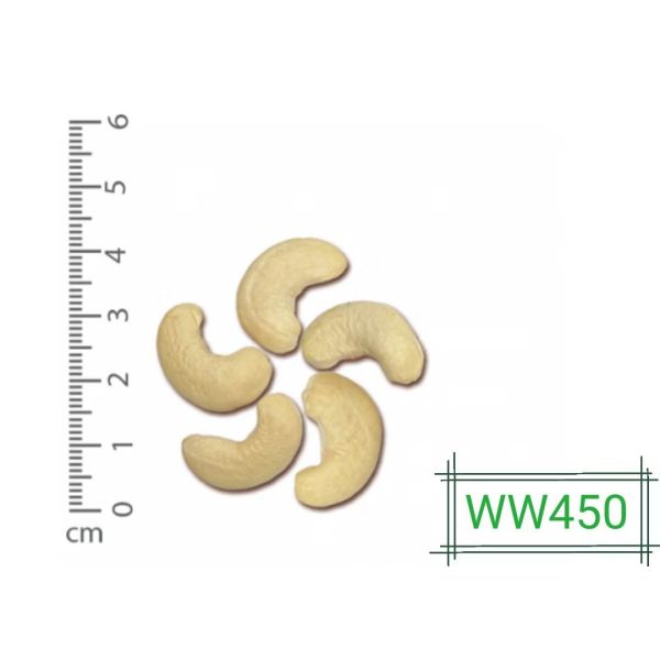 1200mm Belt Nuts Processing Machine 220V Cashew Sorting Machine