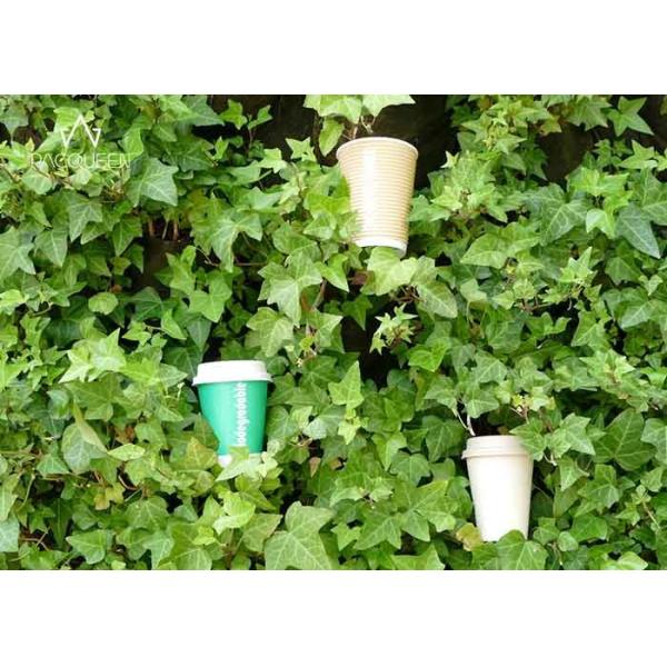 Single Wall Biodegradable Compostable Paper Cups Green Drinking Cup 4oz - 22oz