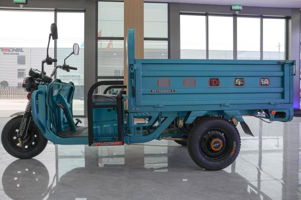 New Model Electro Tricycle 3 Wheel Motorized Popular Adults Cargo