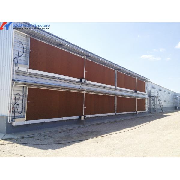 Broiler Poultry Prefab Houses Steel Structure Fully Automated Chicken Farming Equipment