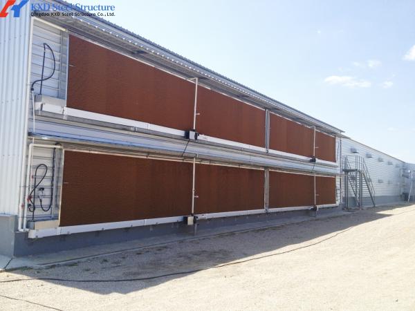Galvanized Steel Poultry Layer Cages - 3-4 Tier Battery Cage for Chicken Farms