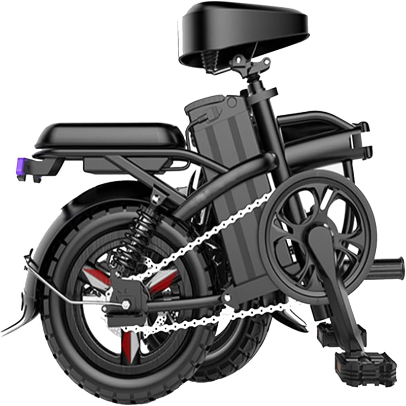 Custom Silver Fish Ebike Lithium Battery Pack 36V/48V 10Ah-20Ah