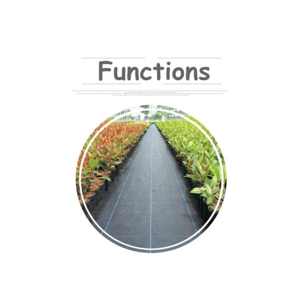 Anti Grass 20ft HDPE Plastic Weed Mat 3.2oz Weed Barrier Ground Cover