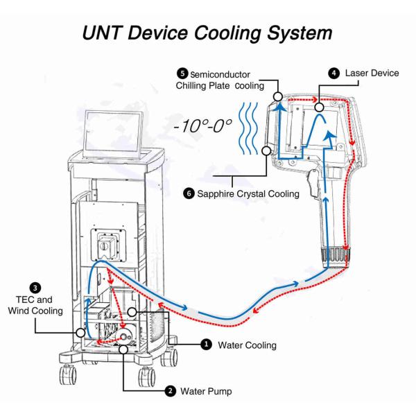 Безболезненная неподвижная 810 волна тройки удаления 800W волос лазера диода Nm