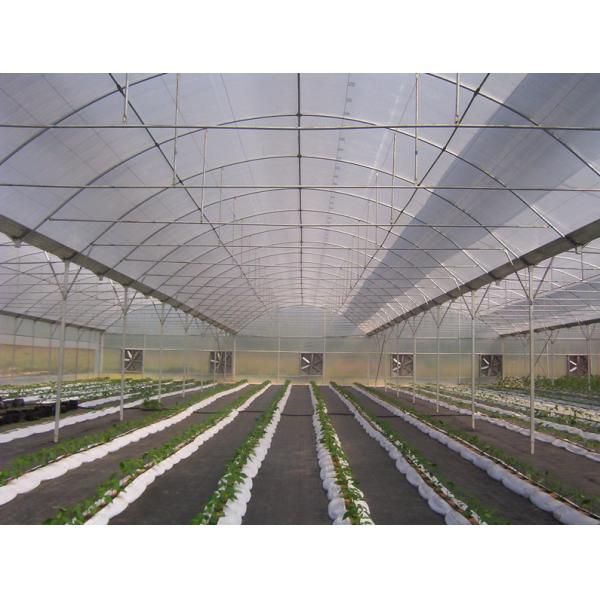 6m Vegetable Plant Commercial Hermetic Glass Greenhouse Multi Span