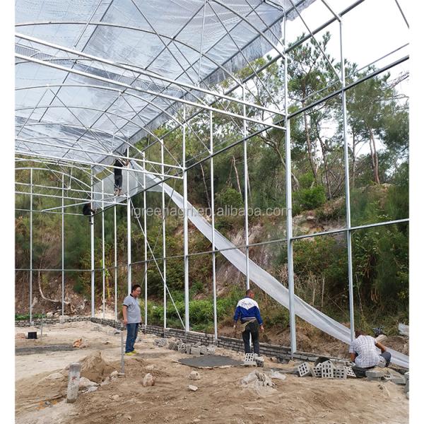 Strong Structure Large Multi-Span Agricultural Tropical Greenhouses PE Plastic Film Covered Gutter Rain Water Collection