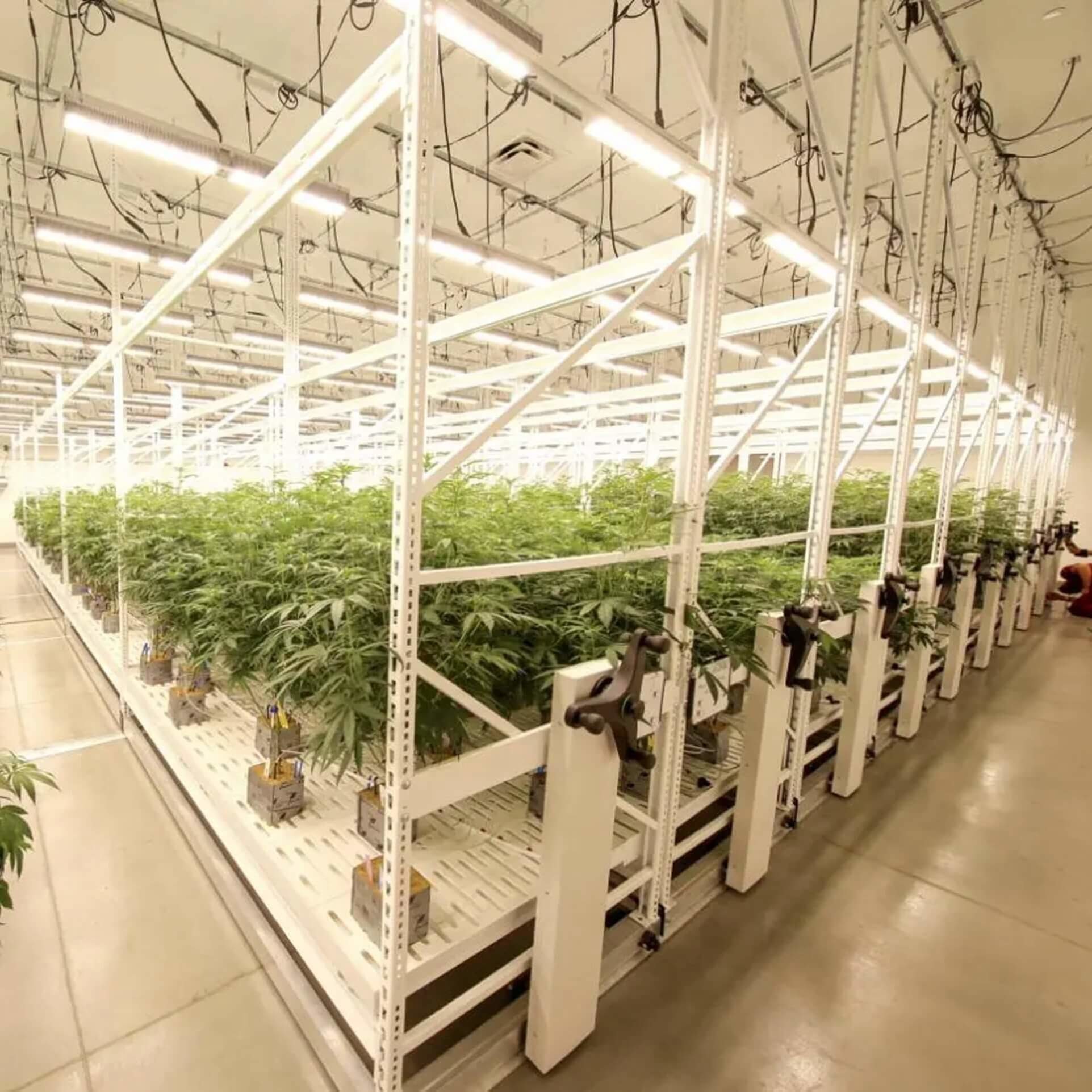 Indoor Farming - Vertical Grow System