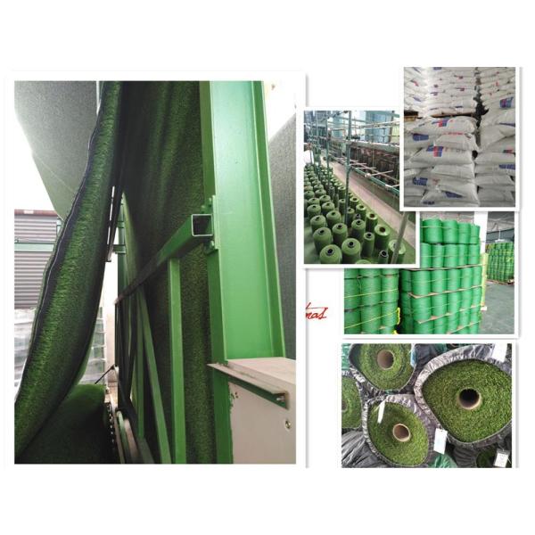 Kids 2.5 Cm Zodiac Tiger Cartoon Lawn On Kindergarten Outdoor Playground