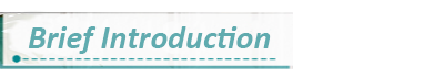 Disposable Nonwoven PP Isolation Gown Multiple Color Choices Without Sleeves
