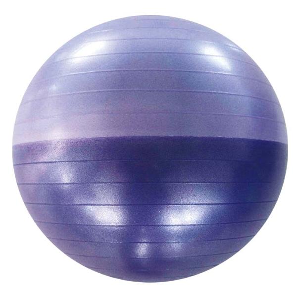 Gymnastic Yoga Massage Balls Sports Anti Burst 65cm Eco Friendly PVC