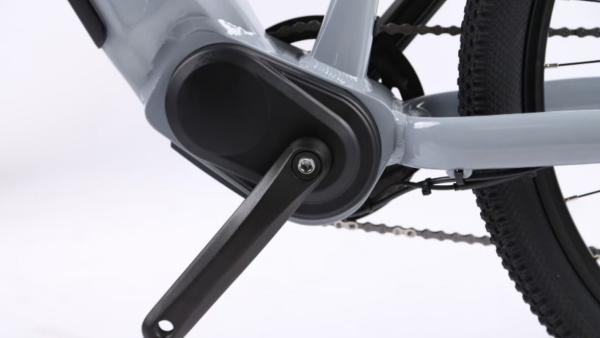 250W Electric Bike with Multi-Function Display and Smart Features Electric Mountain Bicycles