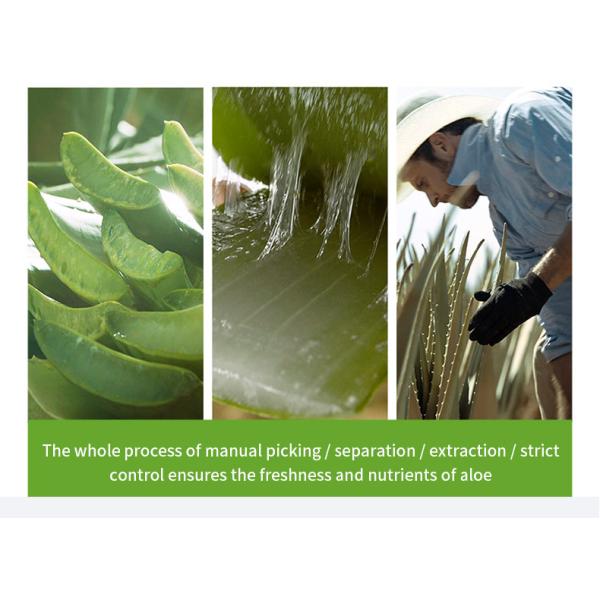 OEM SPF Sunscreen Cream Aloe Vera Kegunaan Soothing Gel For Acne Removing