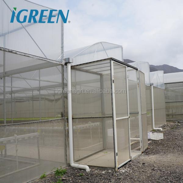 Customized Poly Tunnel Greenhouse Multi Span Agricultural polycarbonate tunnel greenhouse