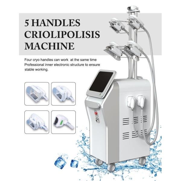 1600W 5in1 Cryolipolysis Vacuum Machine Weight Loss 12 Inch Touch Screen