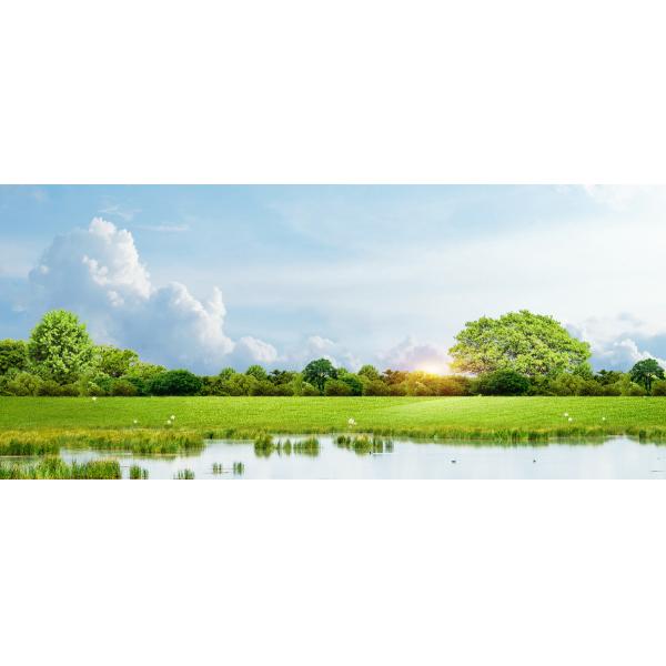 Chengdu Cesgate Technology Co., Ltd